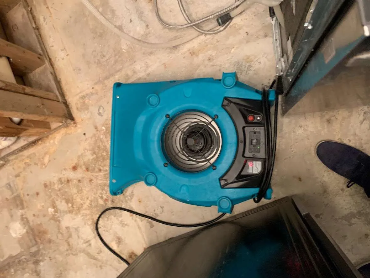 Air mover drying equipment for Mold Remediation & Removal in Sulphur Springs