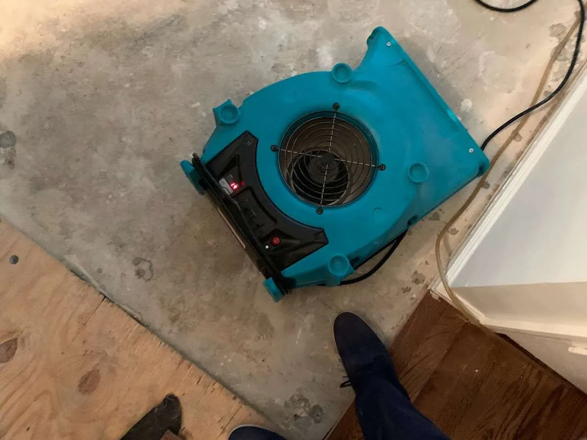 Air mover drying subfloor during Leak Detection & Repair in Sulphur Springs